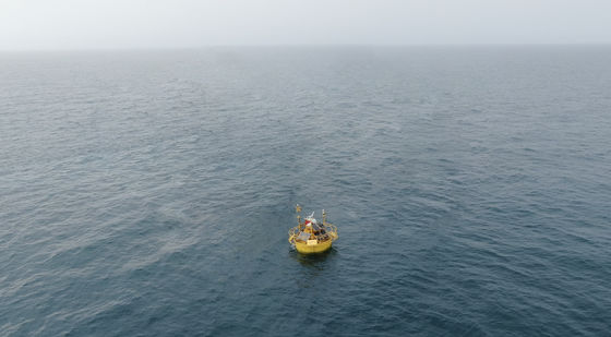 Boyas de monitoreo de mamíferos marinos de murciélago Sub Análisis de datos en tiempo real